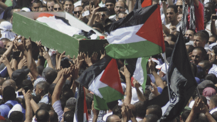 palestine-website_0